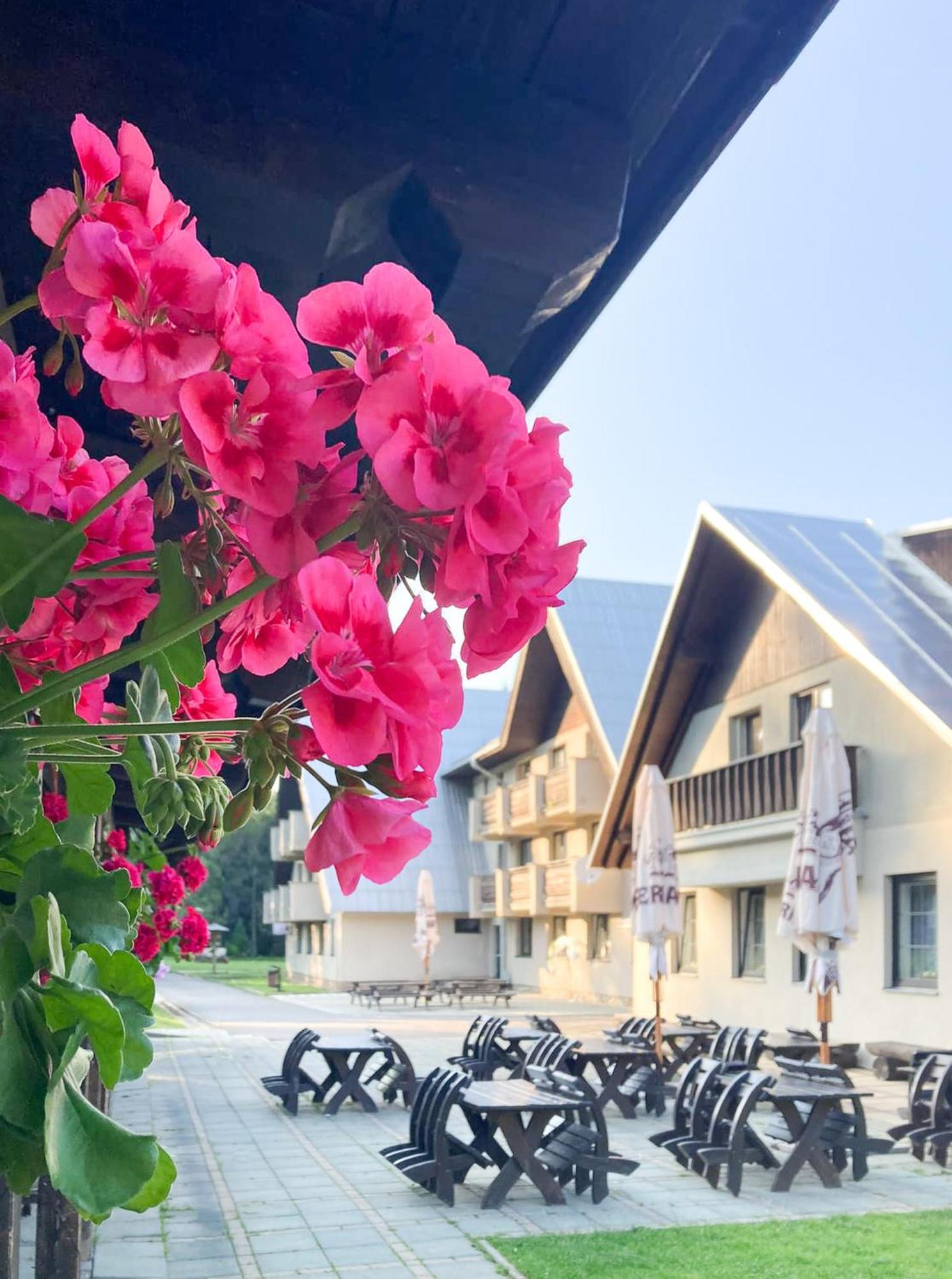 Hotel Hornik Żdżar nad Sazawą Zewnętrze zdjęcie