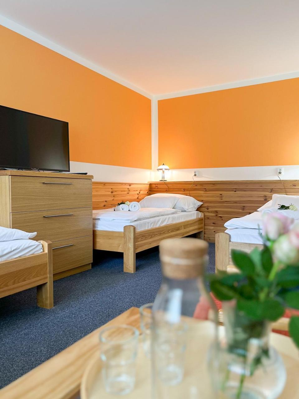 Hotel Hornik Żdżar nad Sazawą Zewnętrze zdjęcie