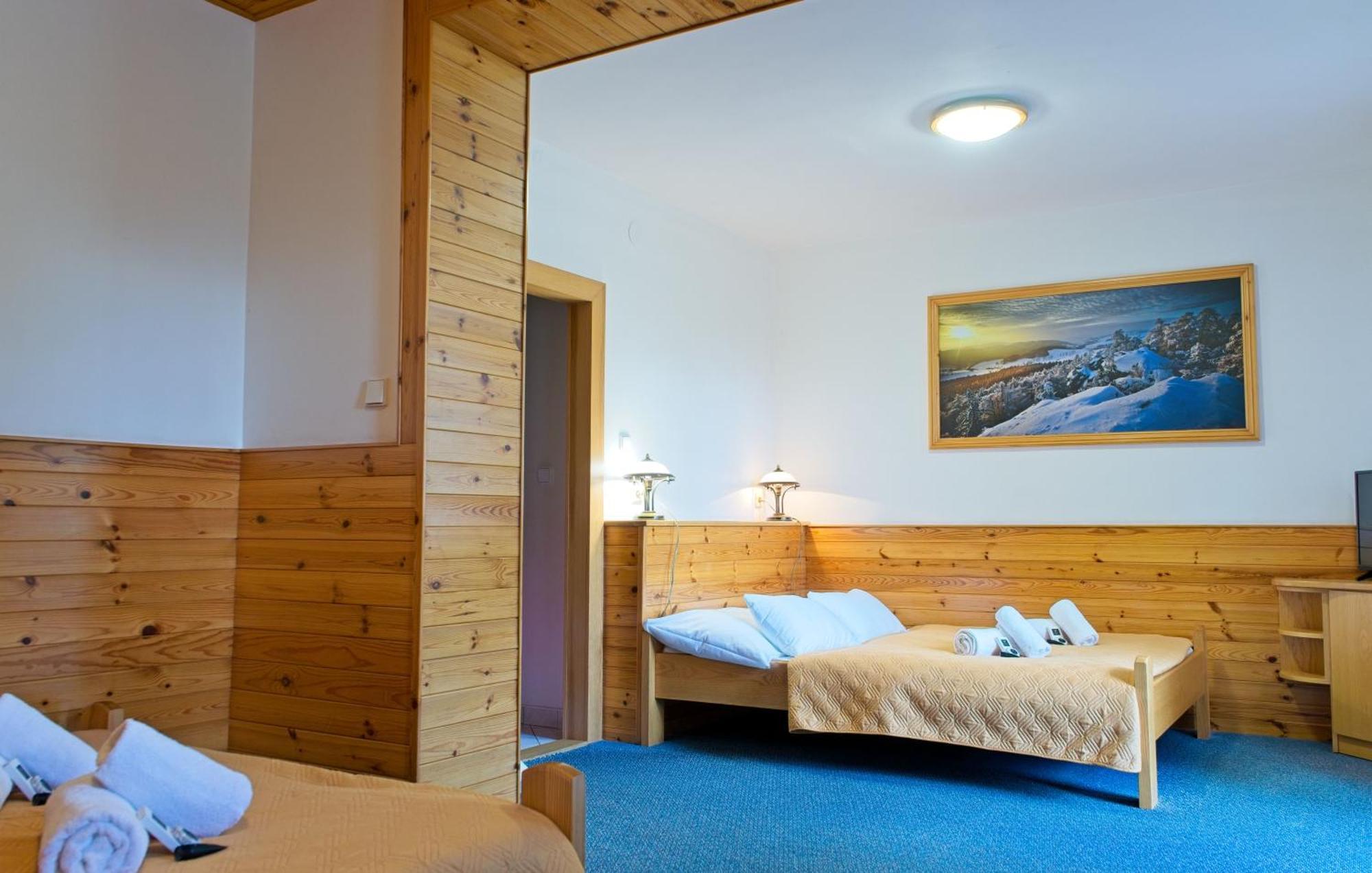 Hotel Hornik Żdżar nad Sazawą Pokój zdjęcie