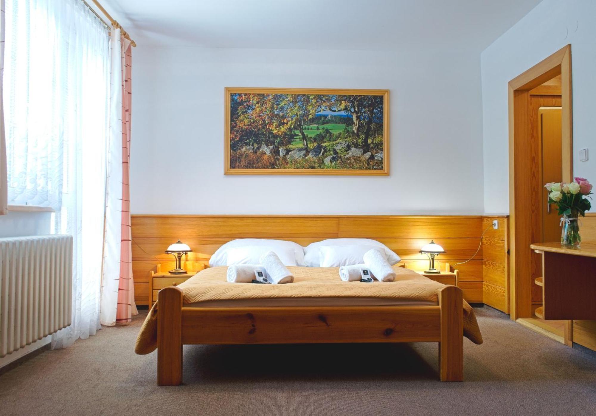 Hotel Hornik Żdżar nad Sazawą Pokój zdjęcie