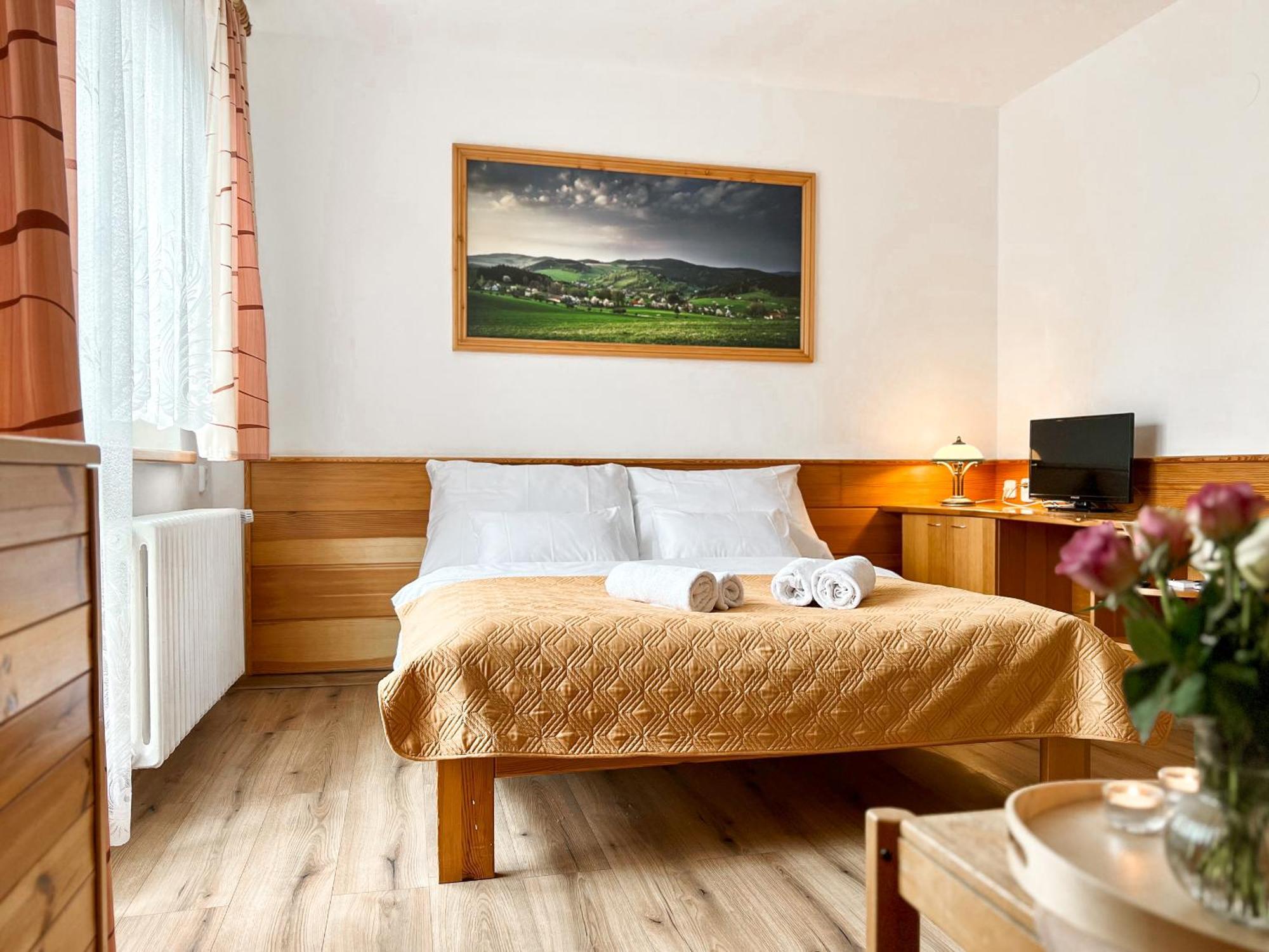 Hotel Hornik Żdżar nad Sazawą Zewnętrze zdjęcie
